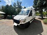 Hyundai Renntransporter Hyundai H350 Womo Camper - Renntransporter