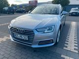 Audi A4 B9 190 PS Diesel Alcantara, Kamera... - Audi A4: Kombi, 1.9