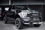 Ford F150 Shelby - Unfallfrei - 1.Hand - Rarität - Ford F 150: Shelby