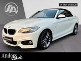 BMW 228 i Cabrio M Sport BiXenon+SHZ+PDC+Navi+Harman - BMW 228: 3 Türen