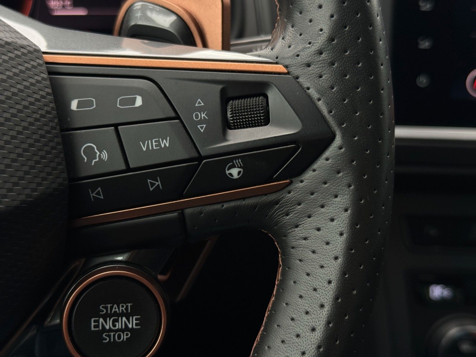 Fahrzeugabbildung CUPRA Ateca 4Drive *Pano*AHK*Beats*Bhz.Lenk*360°*Kessy