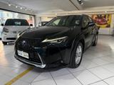Lexus UX UX Hybrid Executive - Lexus UX aus 2020