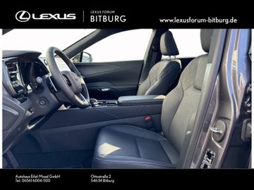 Lexus RX 450 - 10