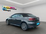 Volkswagen Golf VI Cabriolet 1.2 TSI Allstar BMT - : Allradantrieb, Cabrio