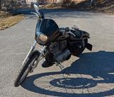 Harley-Davidson Sportster XL883C - HARLEY-DAVIDSON 883 C