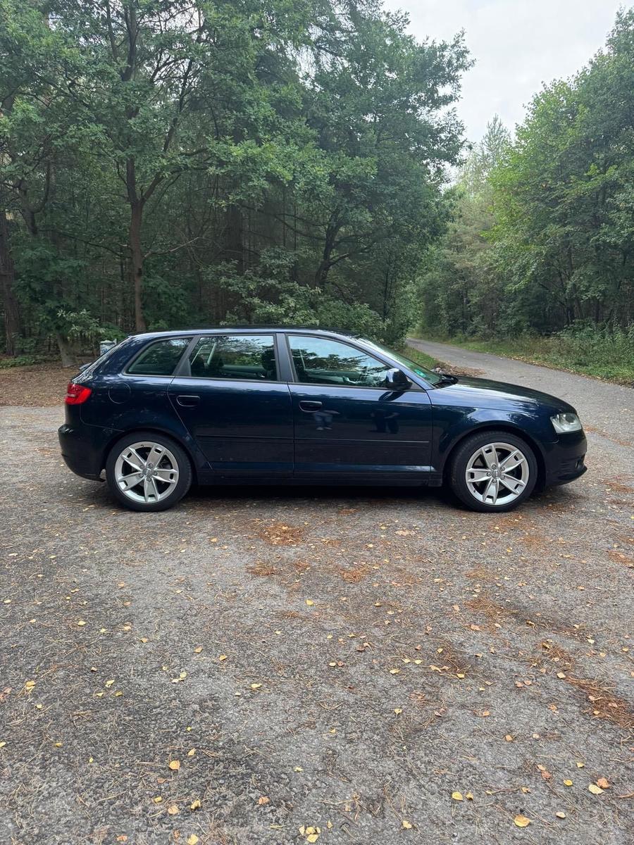 Audi A3 2009 — engine 200 HP (147kW)