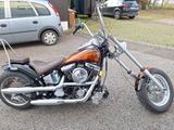 Harley-Davidson Evo Custom Bike - CHOPPER CUSTOM BIKE