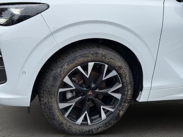 Cupra Terramar - 8