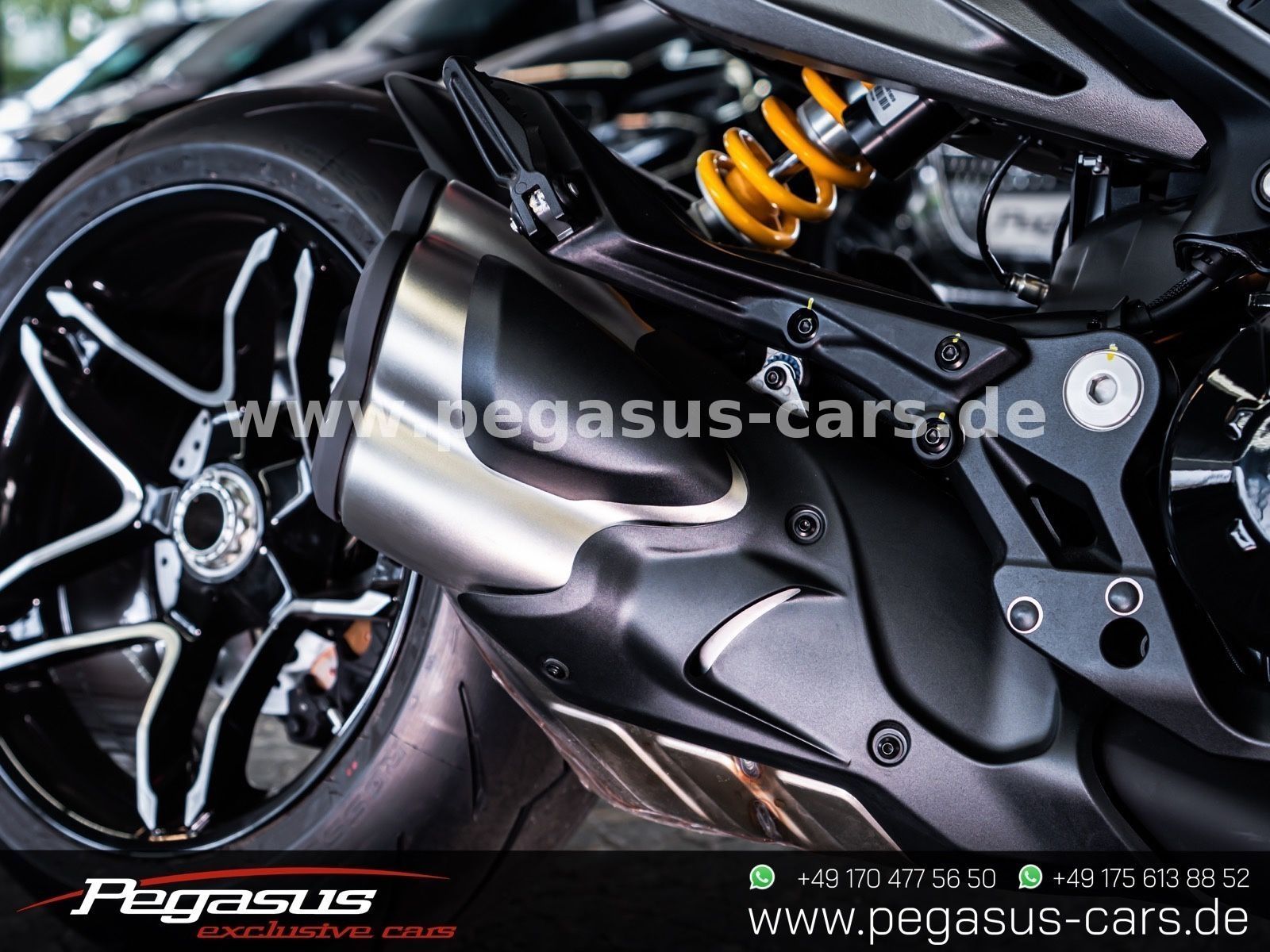 DUCATI  - 13