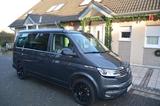 Volkswagen T6.1 California  Ocean - VW T6 California Gebrauchtwagen in Köln