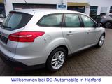 Ford Focus Turnier Business,Klimaautom,Tel,Alu+Allwet - Ford Focus Gebrauchtwagen in Bielefeld
