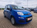 Fiat Panda MODELL 2025 1.0 Hybrid CITY-PAKET KLIMA  - Fiat Panda Neuwagen mit Benzin-Antrieb