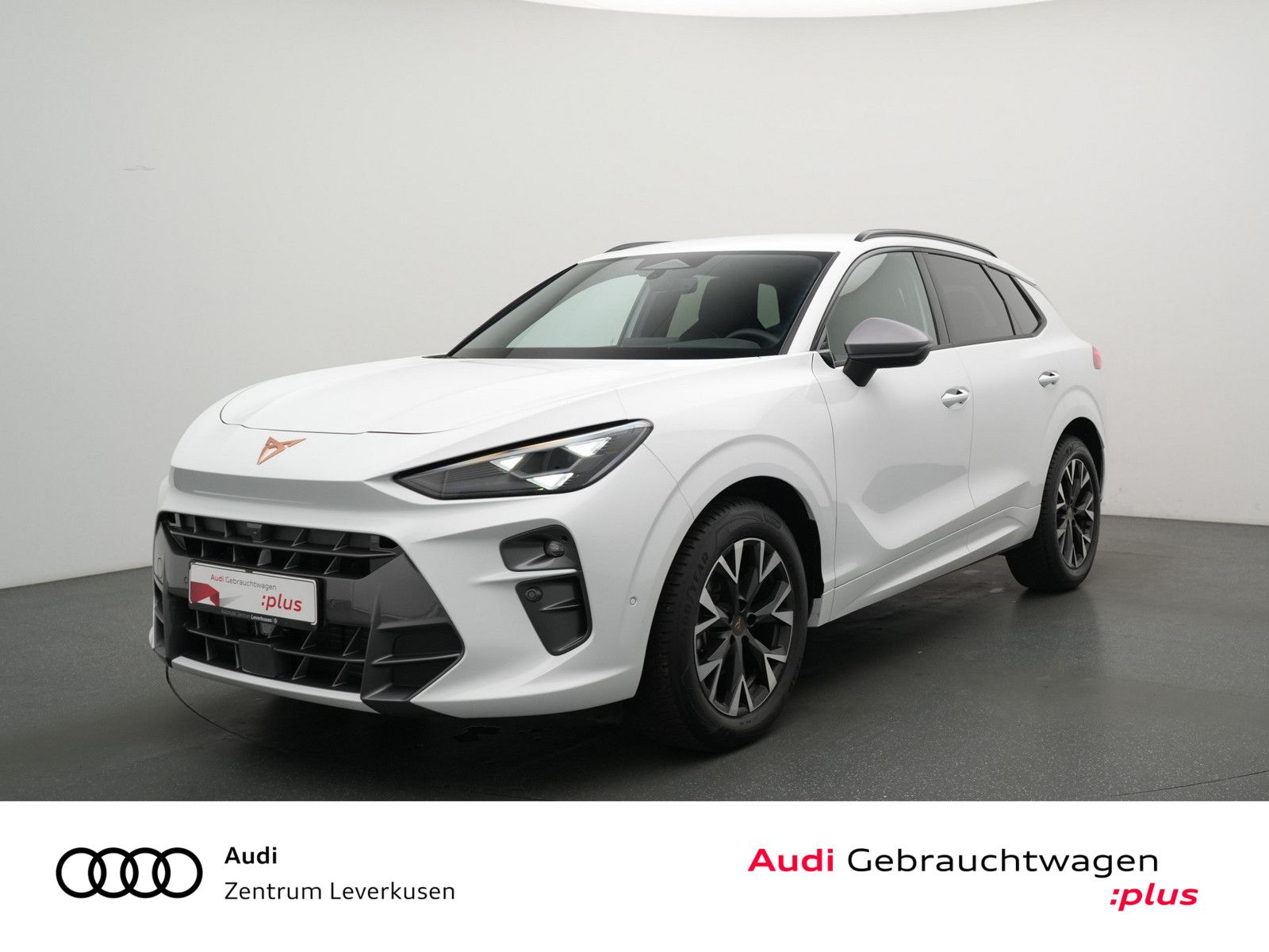 Cupra Terramar MEMORY CARPLAY LED KEYLESS PDC NAVI ACC