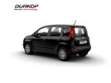 Fiat Panda (Pandina) Icon Hybrid Klimaanlage Parkpilo - Fiat Panda Neuwagen mit Benzin-Antrieb