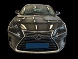 Lexus NX 300 300h E-Four Pack Business - Lexus aus 2021