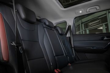 Bild 21 DFSK Andere Forthing 3 Automatic, Pano, Freisprech, USB