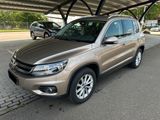 Volkswagen Tiguan 2.0 TDI Track & Style 4Motion AHK LEDER - Volkswagen Tiguan aus 2011: TDI