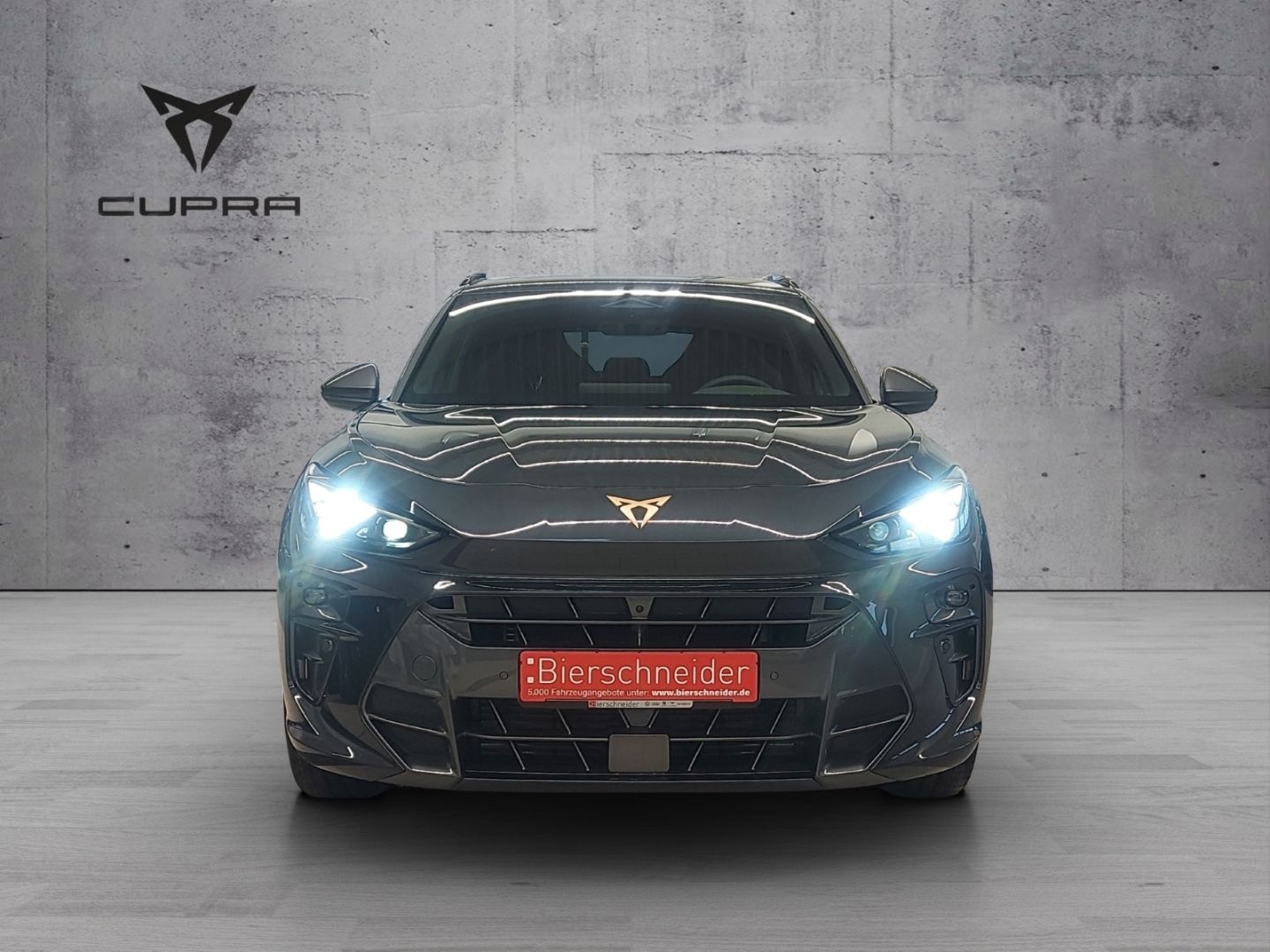 Cupra Terramar - Bild 2