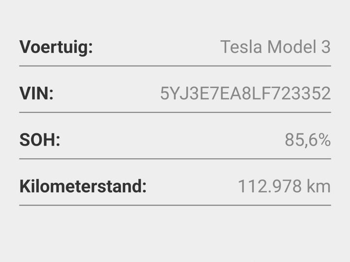 Tesla Model 3 Standard Plus RWD Standard Range Plus 85 imagem 2