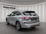 Ford Kuga ST-Line X | ACC | PANO | AHK | KAMERA - Ford Kuga: Leder