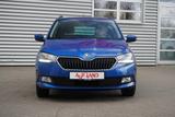 Skoda Fabia Combi 1.0 TSI DSG Ambition SmartLink DAB - Skoda Fabia Gebrauchtwagen in Magdeburg