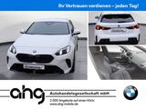 BMW 120 M-Sport *Navi*Rückfahrkamera*M-Sportpaket Pr - BMW 120 in Freiburg