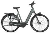 Gazelle Grenoble C8+ Low-Step - 49cm (S) - Gazelle E-Bikes