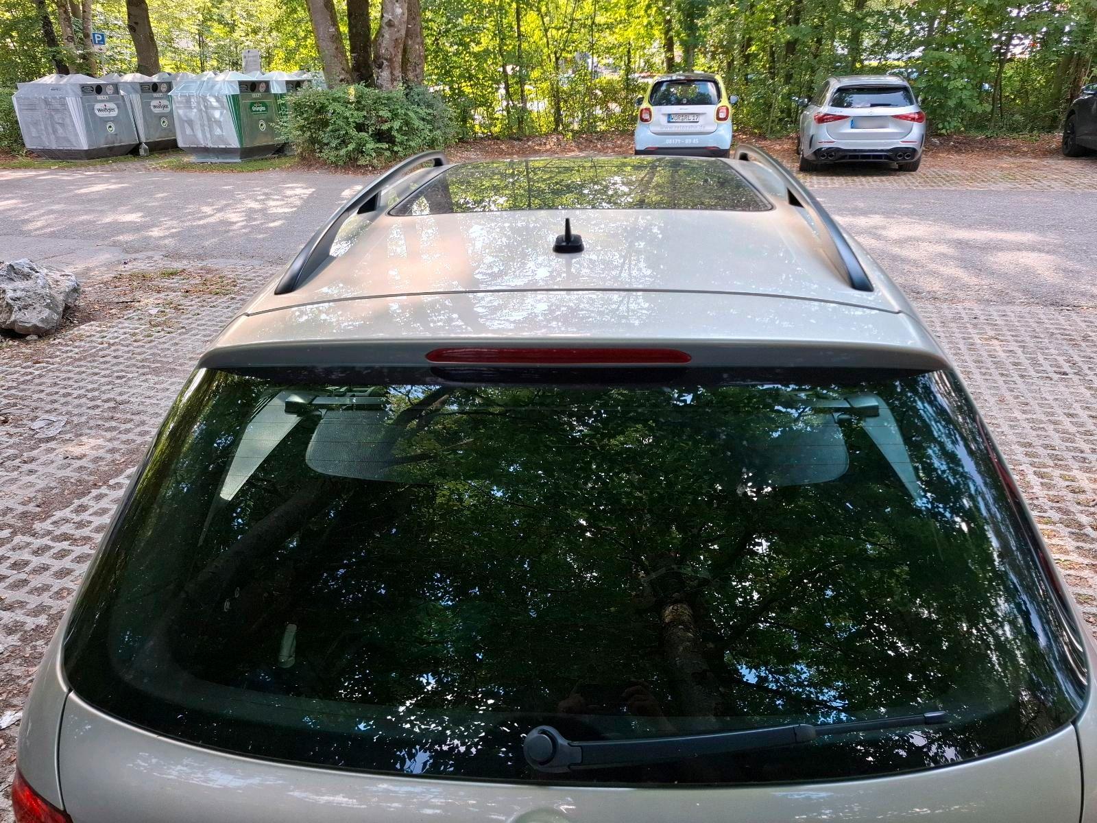 Volkswagen Golf 2010 — вигляд ззаду