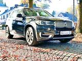 BMW X5 xDrive40e - High Executive - Neue Hybrid Akku - BMW: E40