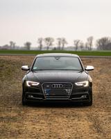 Audi S5 3.0 TFSI S tronic quattro Sportback - - Audi S5: Sportback