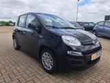 Fiat Panda 1.0 CITY-PAKET 5-SITZE ALLWETTER-REIFEN - Fiat Panda: Sitze