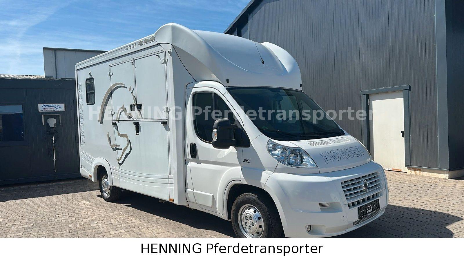 Fiat 250 3-Sitzer Pferdetransporter