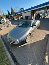 Alfa Romeo Alfa romeo spider cabrio 916 - Alfa Romeo Spider aus 2000: Cabrio