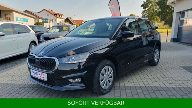 Skoda Fabia 1.0 Selection *TEMPO*SHZ*VirtualCo*PDC