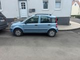Fiat Panda 1.2 8v Dynamic - Fiat Panda Gebrauchtwagen in Kassel