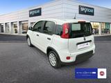 Fiat Panda 1.0 Mild Hybrid (EURO 6d) - Fiat Panda: 1.0