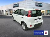 Fiat Panda 1.0 Mild Hybrid (EURO 6d) - Fiat Panda in Hamburg