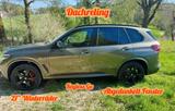 BMW X5 xDrive45e,M-Sport,HuD,Pano,B&W Hifi,8x,ManhMe - BMW X5: Grün