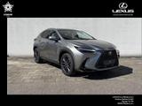 Lexus NX 450h+ E-FOUR Luxury mit Panoramadach - Lexus: Nx