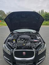 Jaguar XF 3.0 L V6 Diesel Sportbrake  - Jaguar XF: 3.0