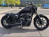 Harley-Davidson Harley Davidson sportster 883  - Offers
