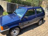 Fiat Panda 1100 i.e. cat 4x4 Trekking PREZZO REA - gebrauchte Fiat Panda aus dem Jahr 2001