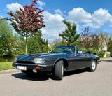 Jaguar XJSC - V12 Cabrio der Königsklasse - Jaguar: V12