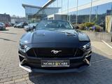 Ford Mustang GT Convertible B&O ACC CAM LED LEDER - : Roadster, Cam
