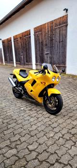 Triumph Daytona 900 T300D - TRIUMPH T300