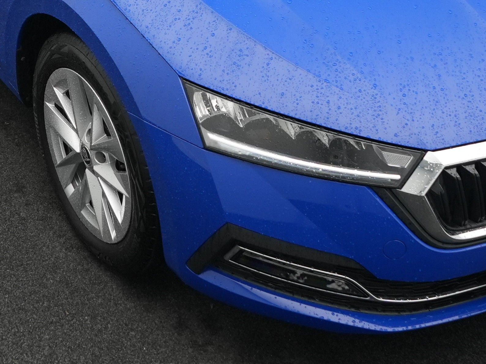 Skoda Octavia - Bild 18
