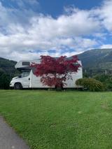 Concorde Cruiser  790 RLA  2025 Vollausstattung - Concorde 79