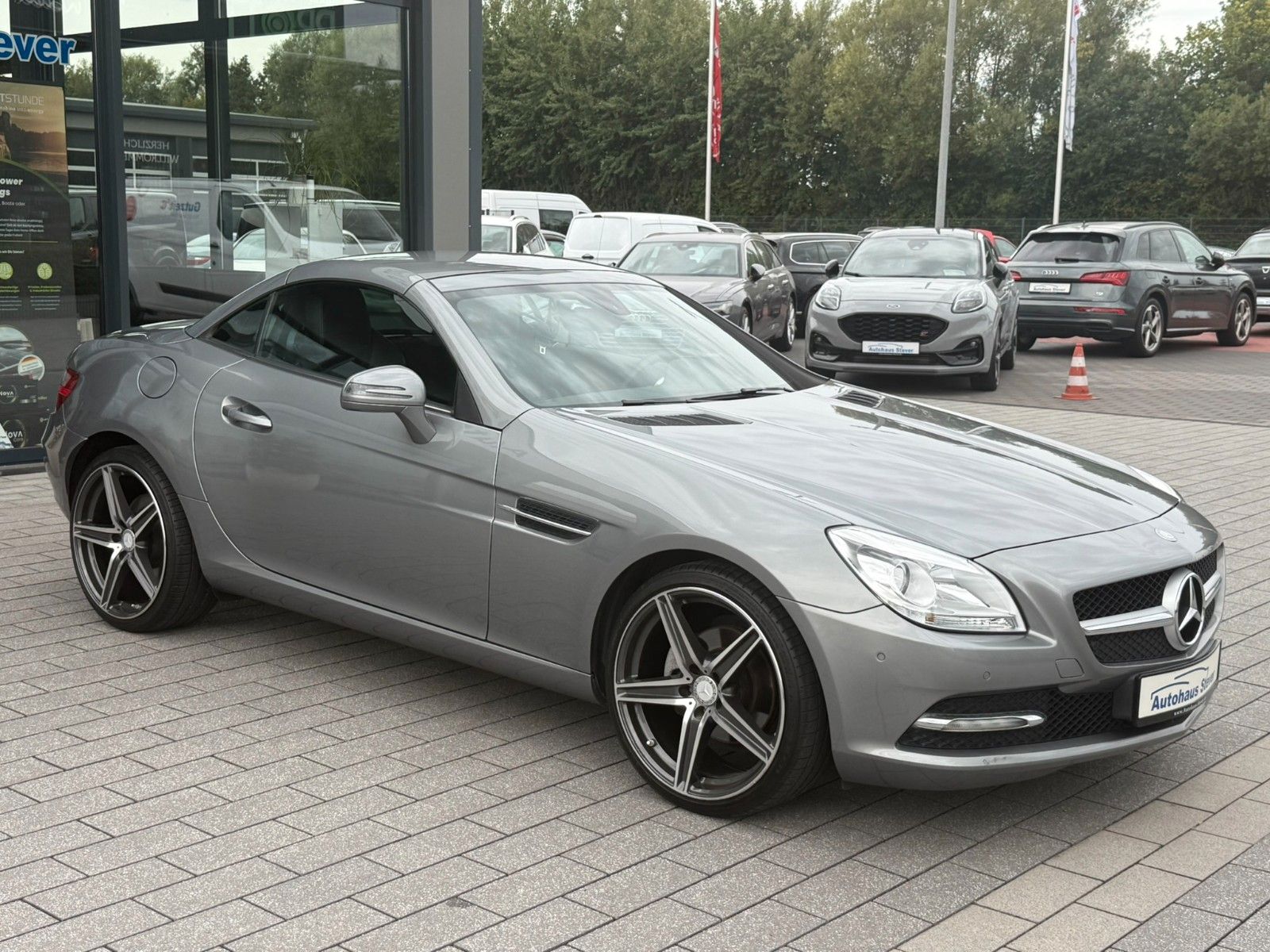 Fahrzeugabbildung Mercedes-Benz SLK 200 SLK Roadster  BlueEfficiency Edition 1