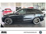 Alfa Romeo Stelvio 2.2 Diesel Q4 Intensa AHK SCHIEBEDACH