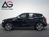 Audi SQ5 3.0 TDI Competition/Quattro/1.Hand/249 € mtl - : 3.0